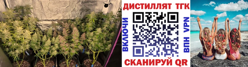 ТГК THC oil  Верхний Тагил 